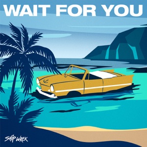 Ship Wrek — Need It - 0:00