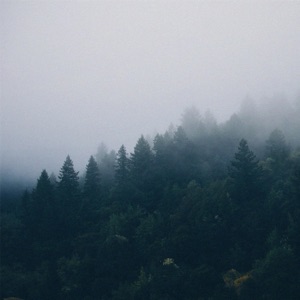 Tim Schaufert, Shwin — Sublime