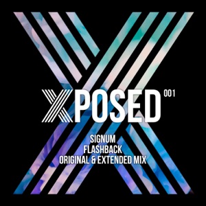 Signum — Flashback (Extended Mix)