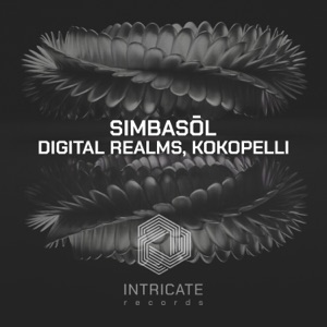 simbasol — Digital Realms