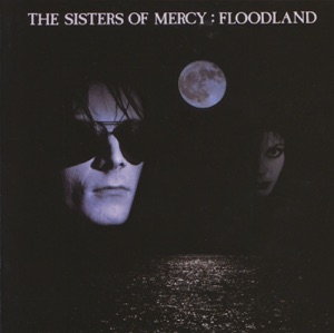 Sisters Of Mercy — This Corrosion