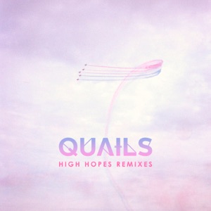 Skin & Bones — Save Me Feat. Quails (Extended Mix)