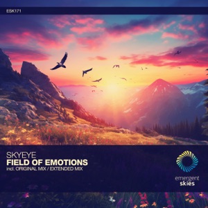 SkyEye — Field of Emotions