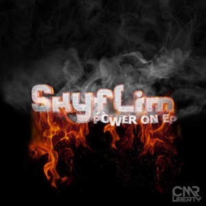 SkyFLIM — Power On