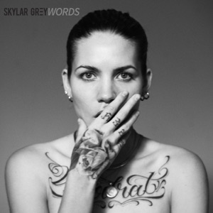 Skylar Grey — Words I Never Said'