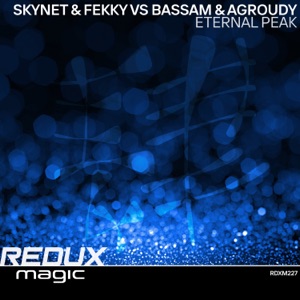 Skynet and Fekky and Bassam and Agroudy — Eternal Peak (Original Mix)