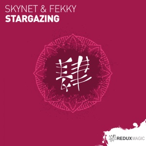 Skynet and Fekky‎‏ — Stargazing (Extended Mix)