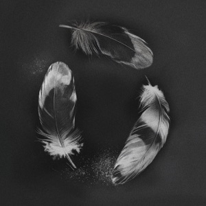 SLANDER — Free
