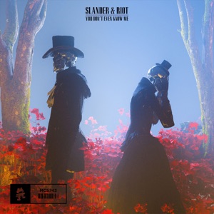 SLANDER/RIOT — You Don't Even Know Me