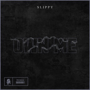Slippy — Own Me