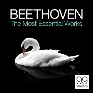SLOVAK PHILHARMONIC ORCHESTRA / ЛЮДВИГ ВАН БЕТХОВЕН / BYSTRIK REZUCHA — SYMPHONY NO. 6 IN F MAJOR, OP. 68, PASTORAL IV. ALLEGRO