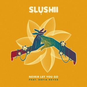 Slushii feat. Sofia Reyes — Never Let You Go - 0:00