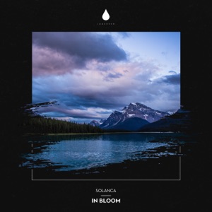 Solanca — In Bloom
