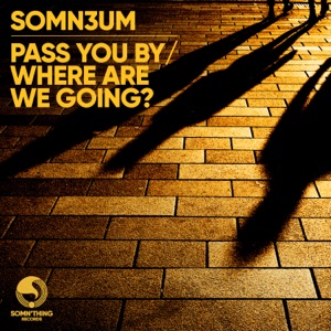 SOMN3UM — Pass You by
