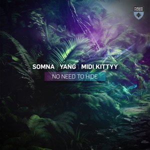Somna and Yang and MIDI Kittyy — No Need To Hide (Extended Mix)