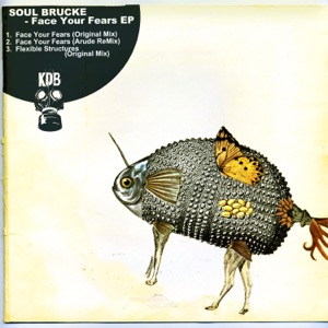 Soul Brucke — Face Your Fears (Original Mix)