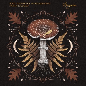 Soul Engineers & Nursultan Kun — Daylight of Almaty (Extended Mix)