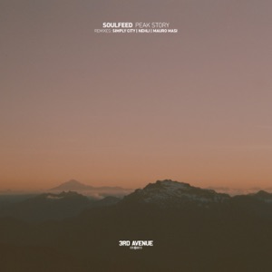 Soulfeed — Peak Story (Simply City Remix)