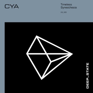 Space Force One — Synesthasia (Radio Edit)