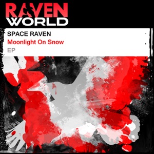 Space Raven — La Fin Des Reves (Original Mix)