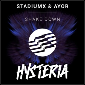 STADIUMX/AYOR — Shake Down