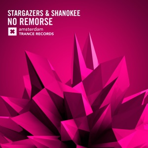 Stargazers And Shanokee — No Remorse (Dub)