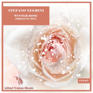 Stefano Negrini — Winter Rose (Trance.One Radio Edit)