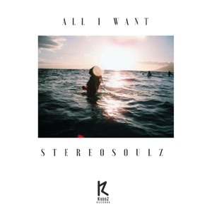 Stereosoulz — All I Want