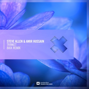 Steve Allen & Amir Hussain — Trinket (BiXX Remix)