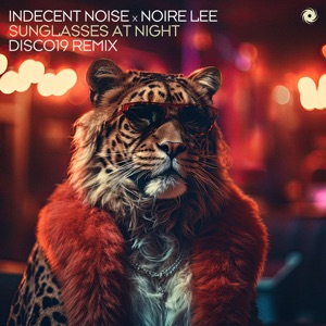 Steve Allen — So Far From Me (Indecent Noise Remix)