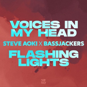 Steve Aoki & Bassjackers — Voices In My Head (feat. Teddy Bee)