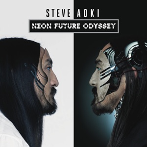 STEVE AOKI/BORGORE — Phenomena