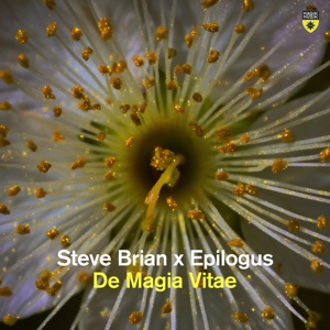 Steve Brian and Epilogus — De Magia Vitae (Extended Mix)