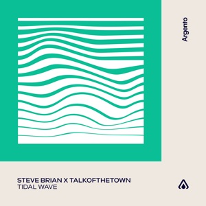 Steve Brian and talkofthetown — Tidal Wave (Extended Mix)