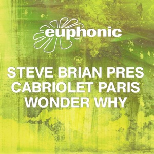 Steve Brian Pres. Cabriolet Paris — Wonder Why (Maywave Remix)