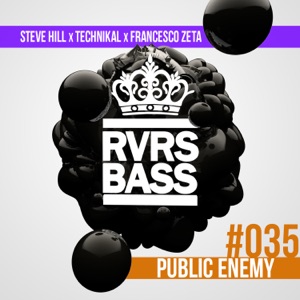STEVE HILL/TECHNIKAL — Public Enemy