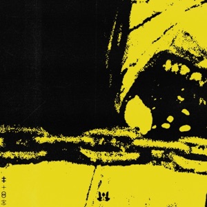 SUAHN — Underground