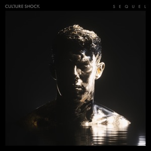 Culture Shock, Sub Focus — Recombine