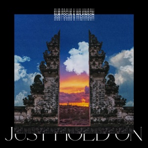 SUB FOCUS/WILKINSON — Just Hold On