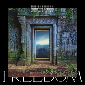 Sub Focus x Wilkinson — Freedom (Sub Focus x Wilkinson x High Contrast Remix)