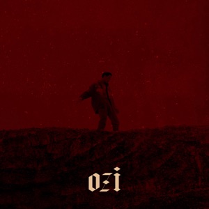 SUBB/DISKOVER/WILLA — Black Out