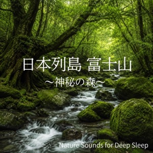 Sumatra — Mount Fuji