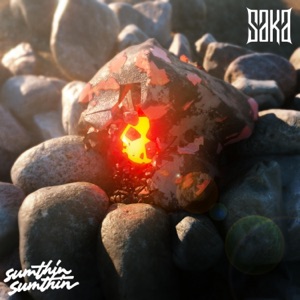 SUMTHIN SUMTHIN/SAKA — Damage