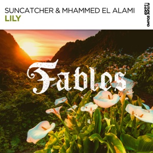Suncatcher & Mhammed El Alami — Lily (Original Mix)