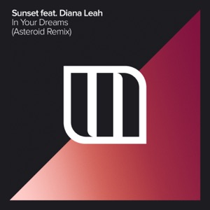 Sunset ft Diana Leah — In Your Dreams (Asteroid Remix)