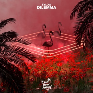 Sylow — Dilemma