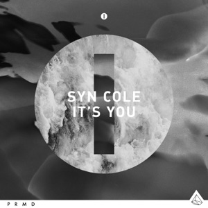 Syn Cole — It's You (Original Mix) - 0:00