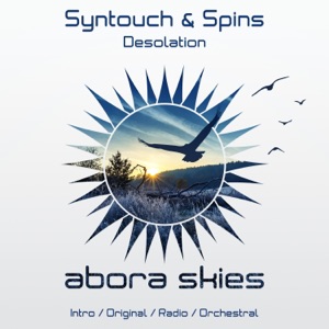 Syntouch & Spins — Desolation (original mix)
