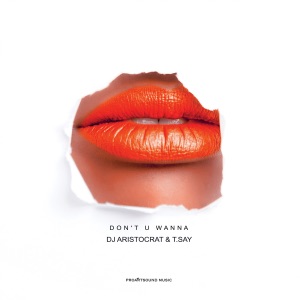 DJ Aristocrat, T.Say — Don't U Wanna (Moe Turk Remix)