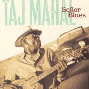 Taj Mahal — Queen Bee